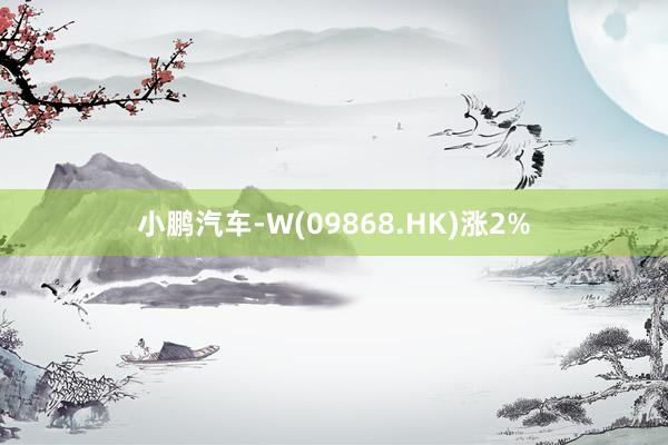 小鹏汽车-W(09868.HK)涨2%